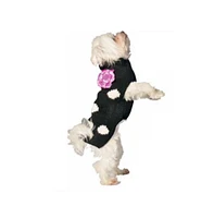 Chilly Dog Black Polka Dot Flower Scarf