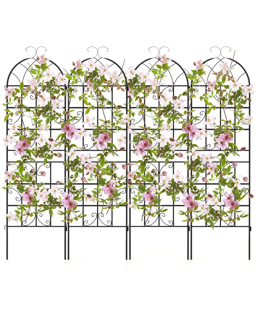 Slickblue Pack 71 x 20 Inch Metal Garden Trellis for Climbing Plants