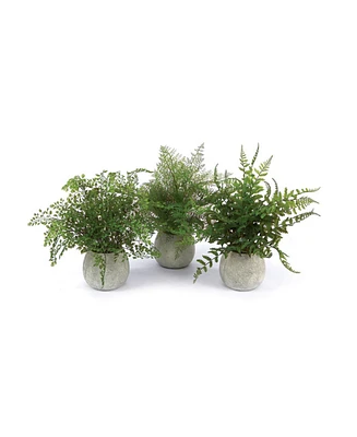 Slickblue Set of 3 Potted Ferns-14 Inches High, Realistic Artificial Plastic Plants for Home and Office Decor