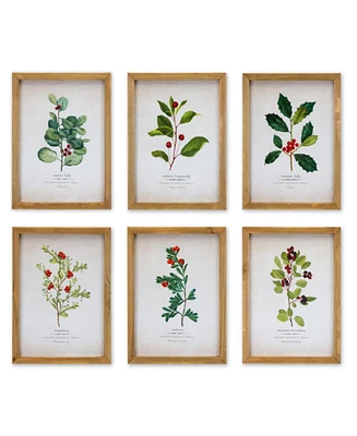 Slickblue Wood Framed Winter Foliage Encyclopedia Print Under Glass (Set of 6)