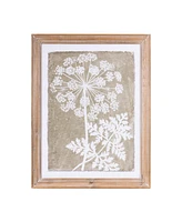 Slickblue Framed Queen Anne's Lace And Fern Wall Art (Set of 2)