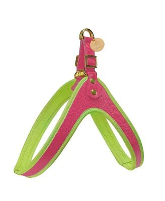 PoisePup Pet Dog Step-in Harness