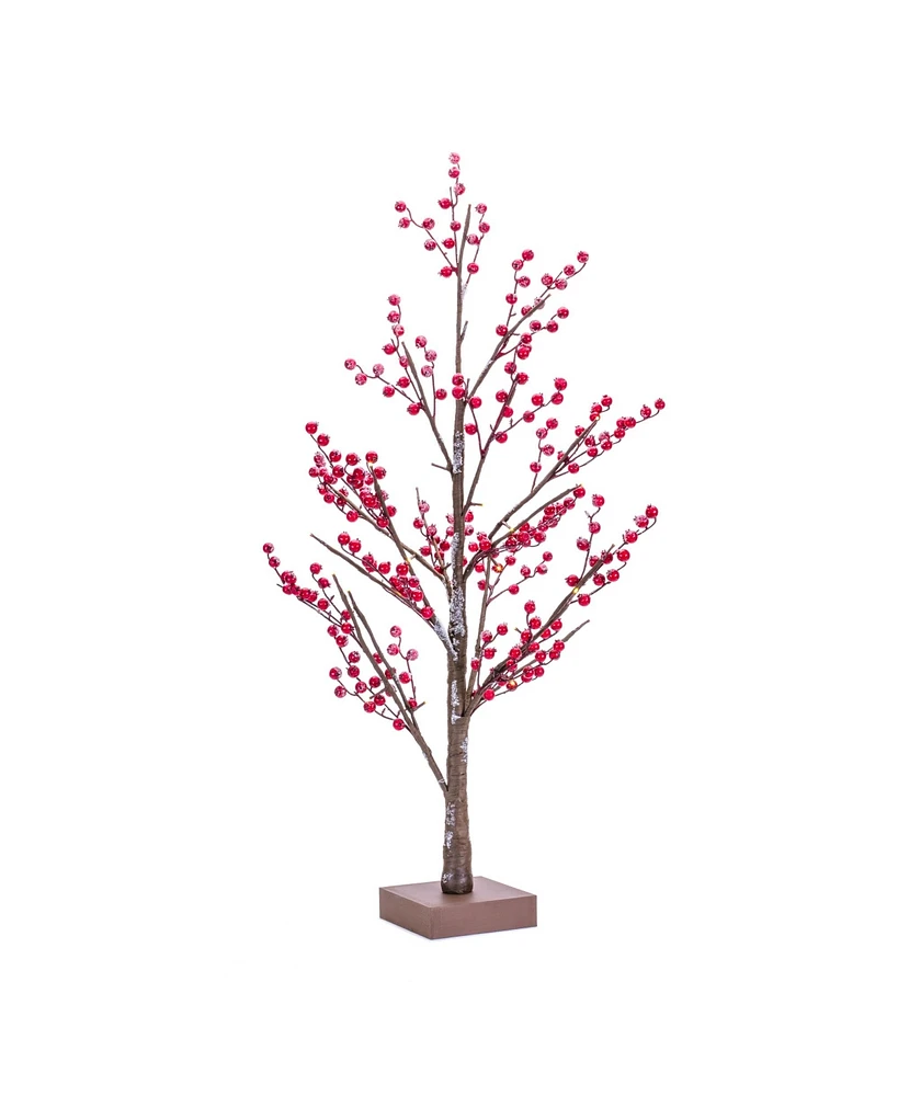 Slickblue Led Lighted Frosted Berry Twig Tree With Base 38"h