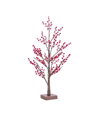 Slickblue Led Lighted Frosted Berry Twig Tree With Base 38"h