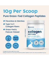 NativePath Collagen Peptides Protein - Hydrolyzed Type 1 & 3 Collagen Powder for Skin, Hair, Nails - 8.8 oz (25 Servings)