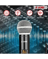 5 Core Wireless Microphone Vhf Professional Dynamic Microphone Handheld Microfonos Portable Inalambricos Cordless Mic System