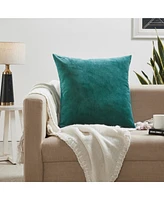 Ihi Home Solid Velvet Pillow Front and Back Velvet, 22"Sq