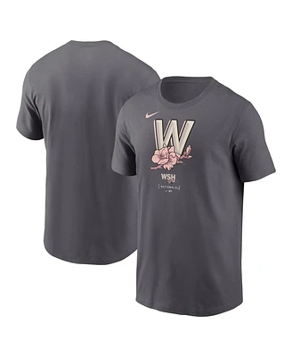 Nike Men's Gray Washington Nationals City Connect Large Logo T-Shirt