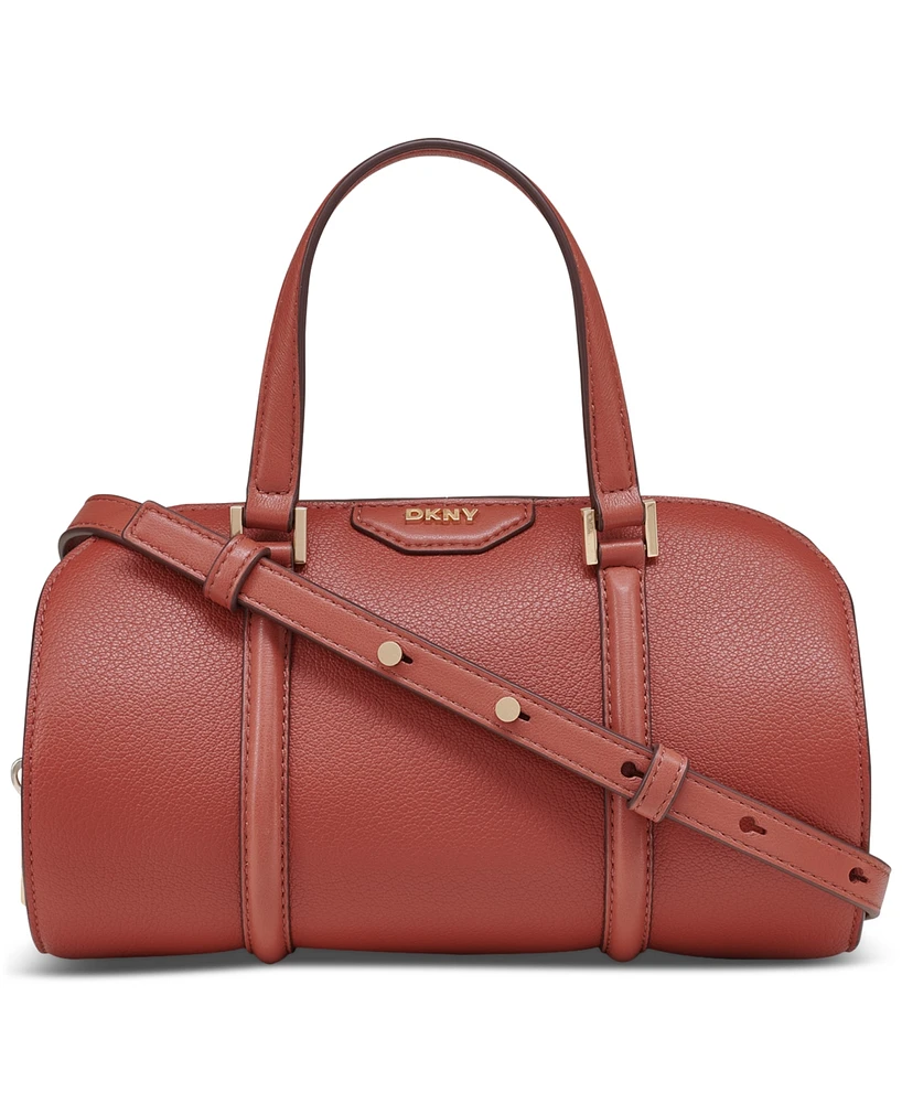 Dkny Cedar Mini Leather Satchel