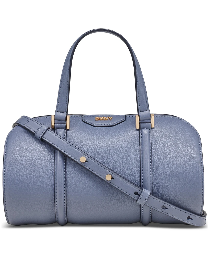 Dkny Cedar Mini Leather Satchel