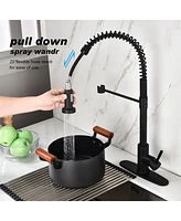 Streamdale Furniture Kitchen Faucet With Pull Out Sprayer