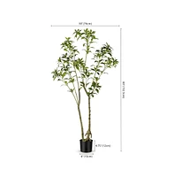 Safavieh Faux Pieris Japonica 60" Potted Plant