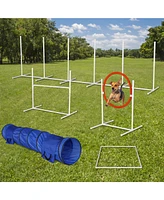 Streamdale Furniture 6Pack Dog Agility Training Equipment Set