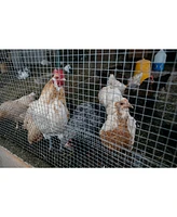 Heavy-Duty Galvanized Hardware Cloth for Multipurpose Fencing and Protection (36" x 100ft, 1/4" Mesh)