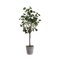 Safavieh Faux Polyscias Fruticosa Potted Tree