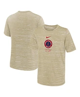 Nike Big Boys and Girls Tan Los Angeles Angels City Connect Practice Graphic Performance T-Shirt