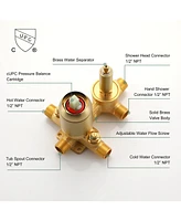 Boyel Living Wall Mount Single-Handle 1-Spray Tub and Shower Faucet - 10 Inch (Valve Included)