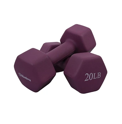 Bintiva Neoprene Hexagon Shaped Dumbbells - Violet - 20lbs