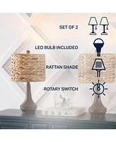 Jonathan Y Theodore 21" Rustic Farmhouse Handwoven Water Hyacinth/Resin Led Table Lamp, Brown Wood Finish (Set of 2)