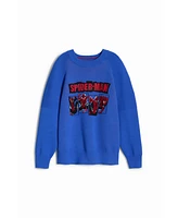 Desigual Boys Boys's Spiderman sweatshirt without hood