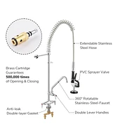 Aquaterior Wall Mount Commercial Faucet w/ Pre-Rinse Pull Down Sprayer 2 Pack