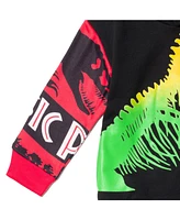 Jurassic Park Toddler Boys World Dinosaur T-Rex Fleece Pullover Hoodie