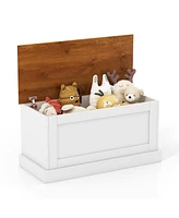 Sugift Large Storage Chest with Safety Metal Hinge-White