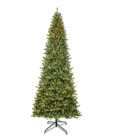 Puleo Pre-Lit Berkshire Fir Tree 10 ft