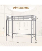 Gymax Twin Metal Loft Bed Frame w/ 2 Ladders Full-length Guardrail Space-Saving Silver