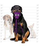 Tuffy Tuffy- Limited Edition - Phrog Leap & Squid Purple 2 Pack, Durable Dog Toys