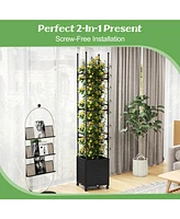 Sugift Raised Garden Bed with Obelisk Trellis and 3 Heights & Detachable Pe-Coated Metal Tubes-Black