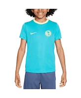 Nike Big Boys and Girls Aqua Club America 2024/25 Academy Pro Top