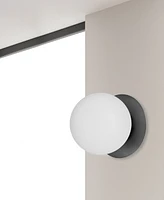 Dainolite 6" Glass