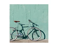 tokyobike Single Speed Bicycle