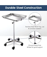 Yescom Mobile Mayo Stainless Steel Tray Stand Trolley Medical Doctor Salon Equipment