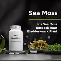 Amen Sea Moss Supplement - 1000mg Organic Irish Sea Moss, Bladderwrack, Burdock - Vitamin C, Aloe Vera, Black Pepper