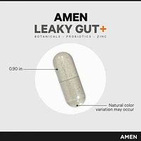 Amen Leaky Gut Supplements - Advanced Formula with Bioavailable L Glutamine, Zinc, Turmeric, Licorice Root