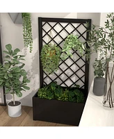 Skonyon 44 Inch Metal Raised Garden Bed with Trellis-Black