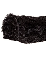 Chanasya Premium Throw Blanket & Pillow Cover - Long Faux Fur Fuzzy Sherpa (50" x 65”) 2 Covers (18" 18”)
