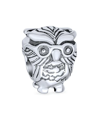 Bling Jewelry Wise Graduate Owl Bird Charm Bead For Women Student For Book Worm Oxidized Sterling Silver Fits European Charm Bracelet