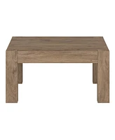 Hudson & Canal Langston 34" Wide Square Coffee Table