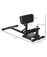 Streamdale Furniture Sissy Squat Machine for Home Gym, Workout Station for Abs, Hip, Glutes & Quads