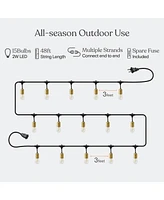 Brightech Glow 48ft Heavy Duty Weatherproof Led Outdoor Plug-In String Lights with Brass Hardware