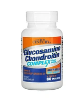 21st Century Glucosamine Chondroitin Complex Plus Msm Advanced Triple Strength