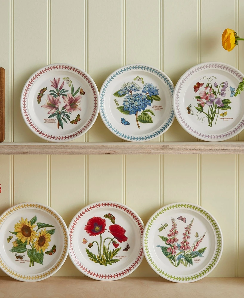 Portmeirion Botanic Garden Meadow Assorted Salad Plates, Set of 6
