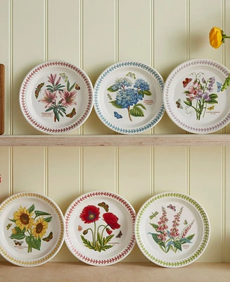 Portmeirion Botanic Garden Meadow Assorted Salad Plates, Set of 6