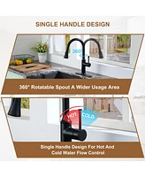 Casainc Smart Faucet Touchless Pull Down Sprayer Kitchen Faucet with Voice and Motion Control