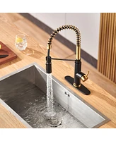 Casainc 1.8 Gpm Spring Neck Pull Down Kitchen Faucet with Deck Plate