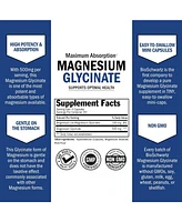 BioSchwartz Magnesium Glycinate 500mg Capsules | Maximum Absorption Magnesium Supplement | 240ct