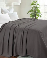 Superior Chevron All-Season Cotton Blanket